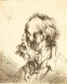 Jan Lievens - Brustbild eines alten bärtigen Mannes