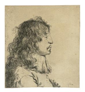 Jan Lievensz - Bust of a young Man in Profile, facing right