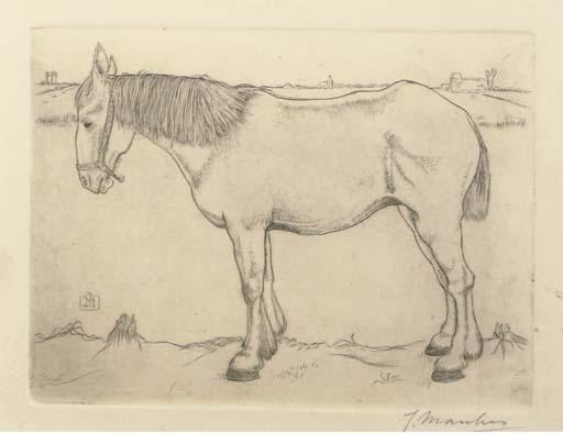Jan Mankes - Paard