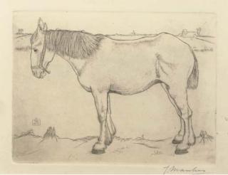 Jan Mankes - Paard