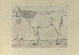 Jan Mankes - Staand Paard