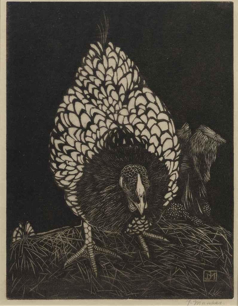 Jan Mankes - Zilverwyandotte (Gh 17)