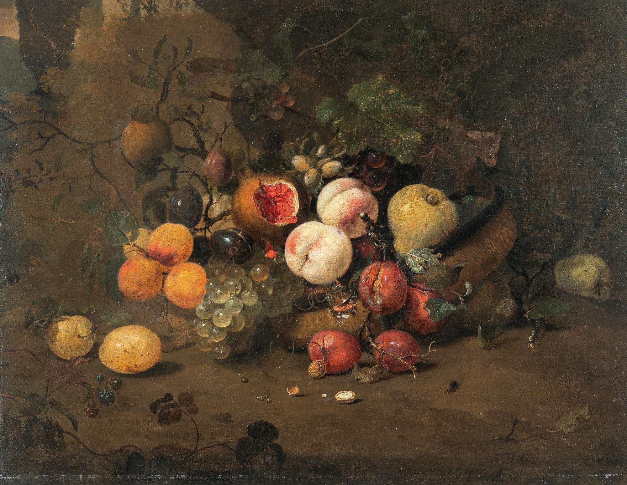 Jan Mortel - Früchtestillleben mit Weintrauben, Aprikosen, Pflaumen, Granatapfel, einer Schnecke, einem Schmetterling und einem Käfer