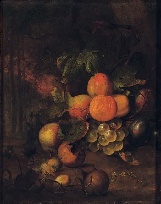 Jan Mortel - Peaches, plums, grapes, medlars and nuts in a wooded clearing with a butterfly