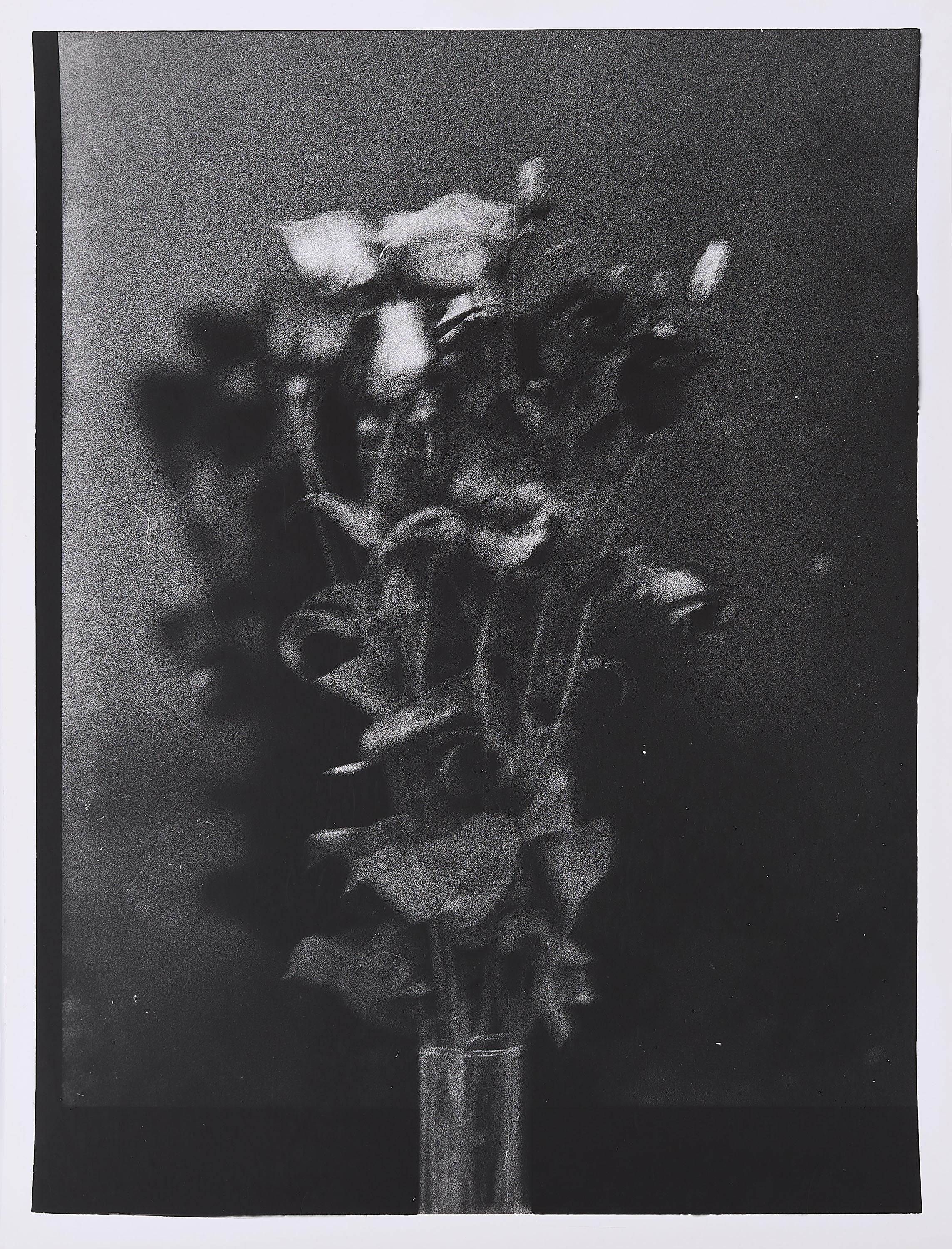 Jan Paul Evers - Flowers.