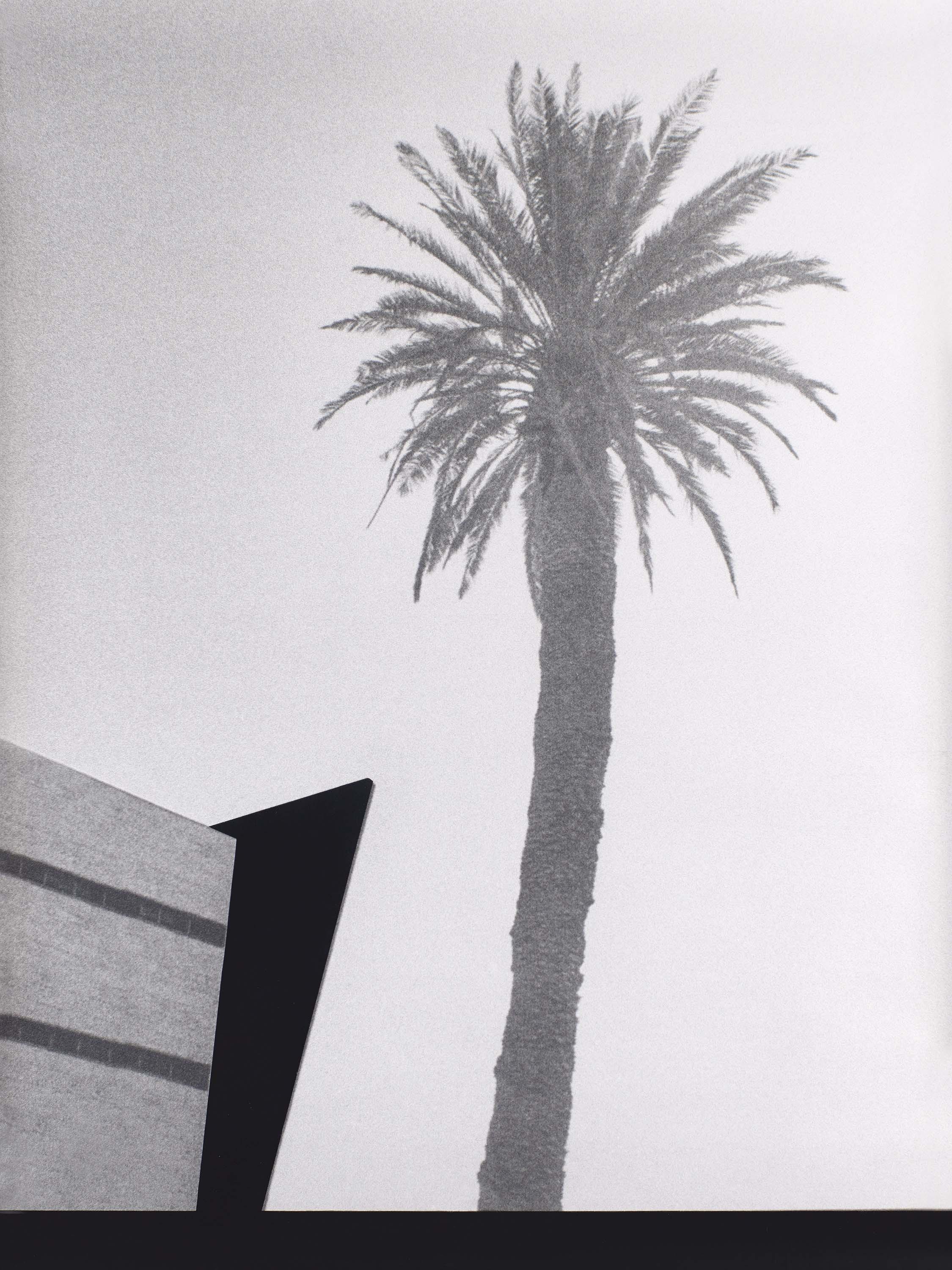 Jan Paul Evers - Palme und Agenten.