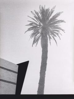 Jan Paul Evers - Palme und Agenten.