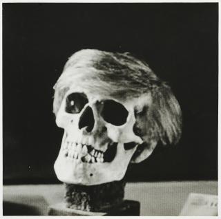 Jan Paul Evers - Skull/POP.