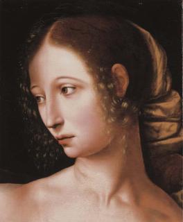 Jan Sanders Van Hemessen - Lucretia: a fragment