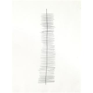 Jan Schoonhoven - Dutch T62-76