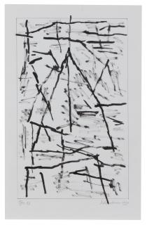 Jan Schoonhoven - T90-33