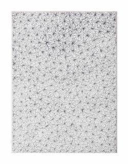 Jan Schoonhoven - Zero-bloemen