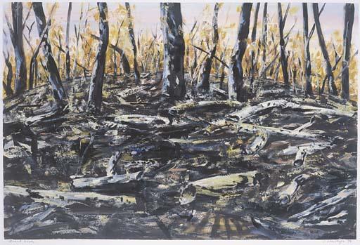 Jan Senbergs - Burnt Bush, Moggs Creek