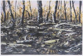 Jan Senbergs - Burnt Bush, Moggs Creek