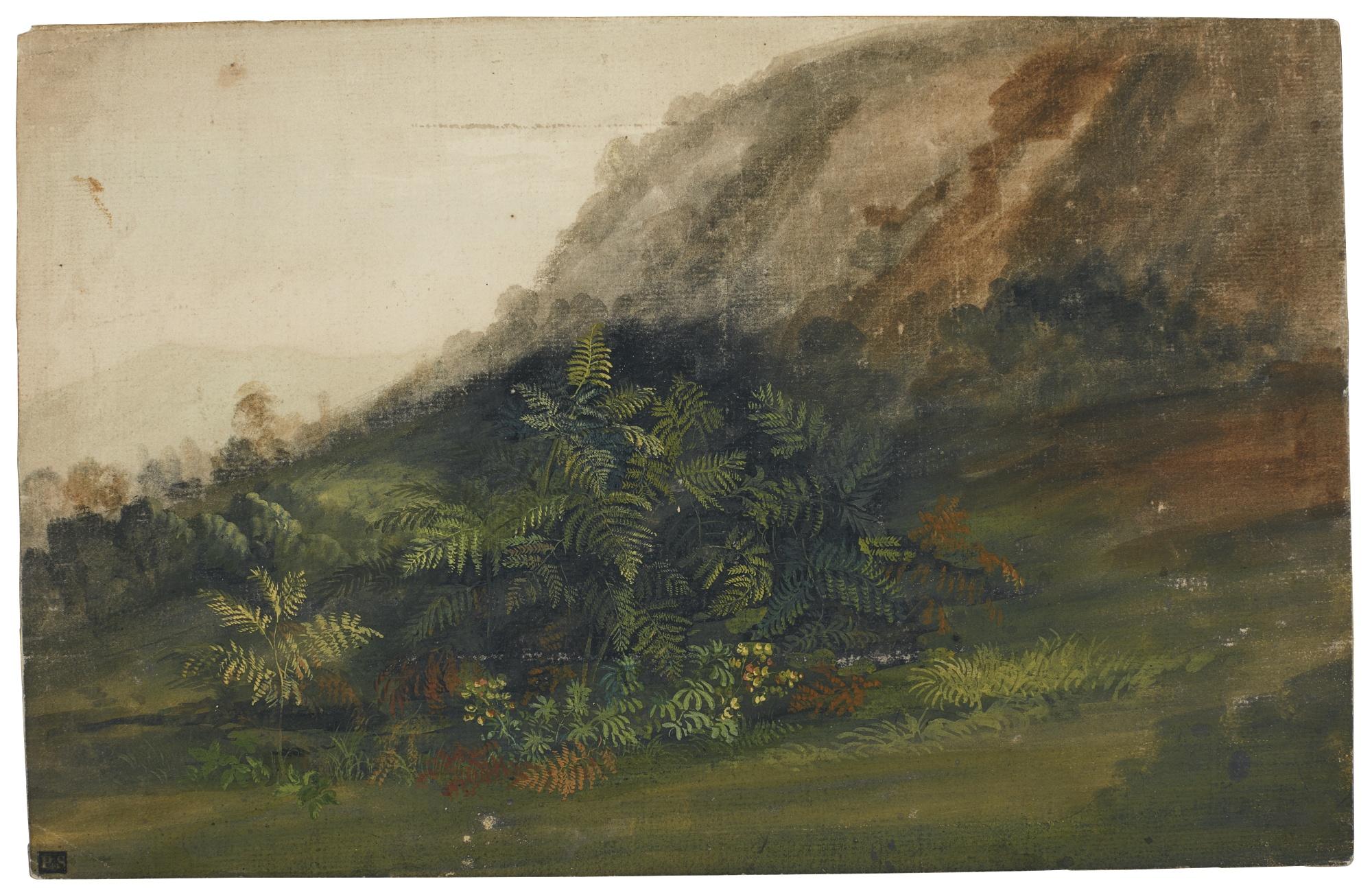 Jan Siberechts - A Hilly Landscape With Ferns In The Foreground