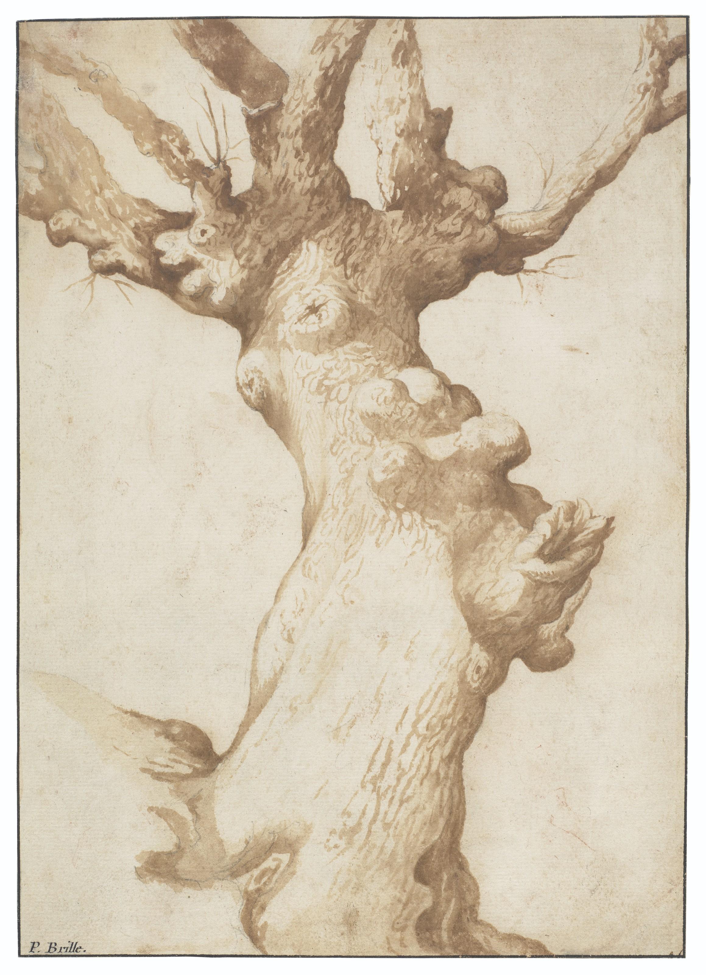 Jan Siberechts - Study of an old gnarled oak (recto); Study of a male torso, after the Antique (verso)