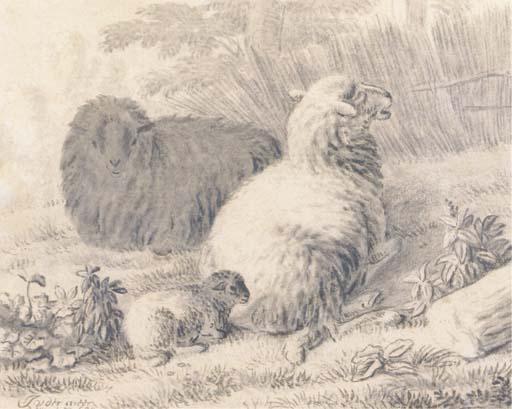 Jan Van der Meer II - Sheep and a lamb in a meadow