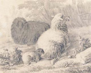 Jan Van der Meer II - Sheep and a lamb in a meadow