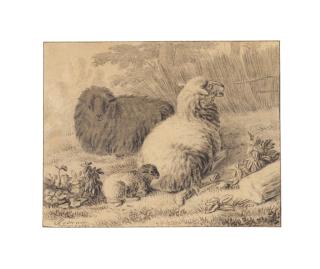 Jan Van Der Meer - Resting sheep