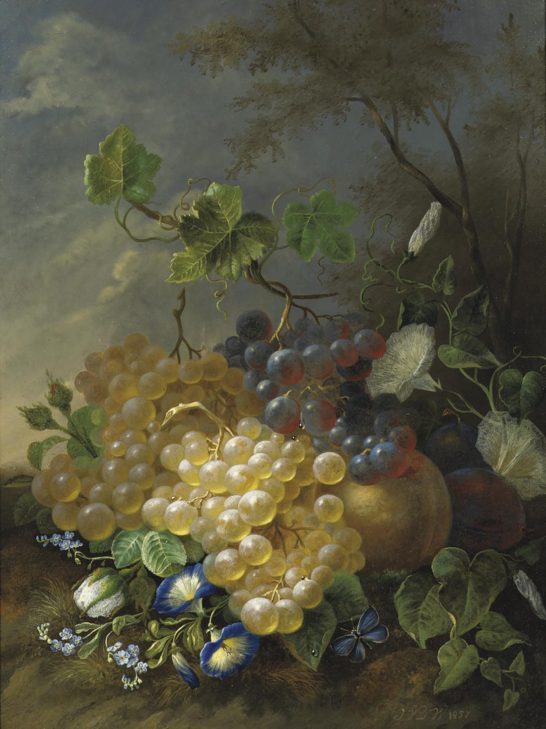 Jan van der Waarden - Grapes and morning glory