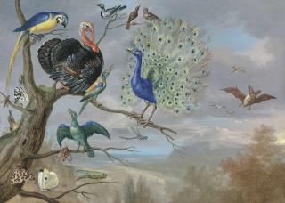 Jan Van Kessel I - Allegory Of Air