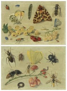 Jan Van Kessel I - Butterflies, a garden tiger moth and other insects with currants; and Bees, a butterfly, beetles and other insects with sweet peas