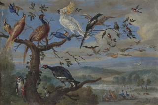 Jan Van Kessel Le Vieux - L\'Arbre aux oiseaux