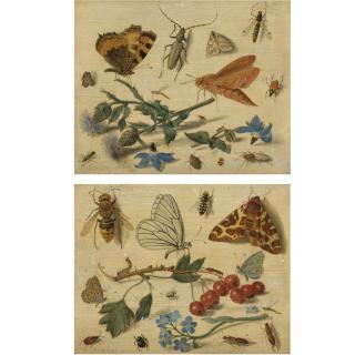 Jan van Kessel the Elder - Butterflies, Moths And Insects, With Sprays Of Thistle And Borage; Butterflies, Moths And Insects, With Sprays Of Redcurrants And Forget-Me-Not