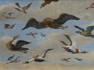 Jan Van Kessel - Étude D’Oiseaux Sur Fond De Ciel