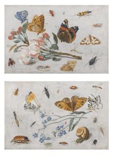 Jan Van Kessel - Study Of Insects, Butterflies And A Snail With A Sprig Of Forget-Me-Nots; Study Of Butterflies And Other Insects With A Sprig Of Apple Blossom