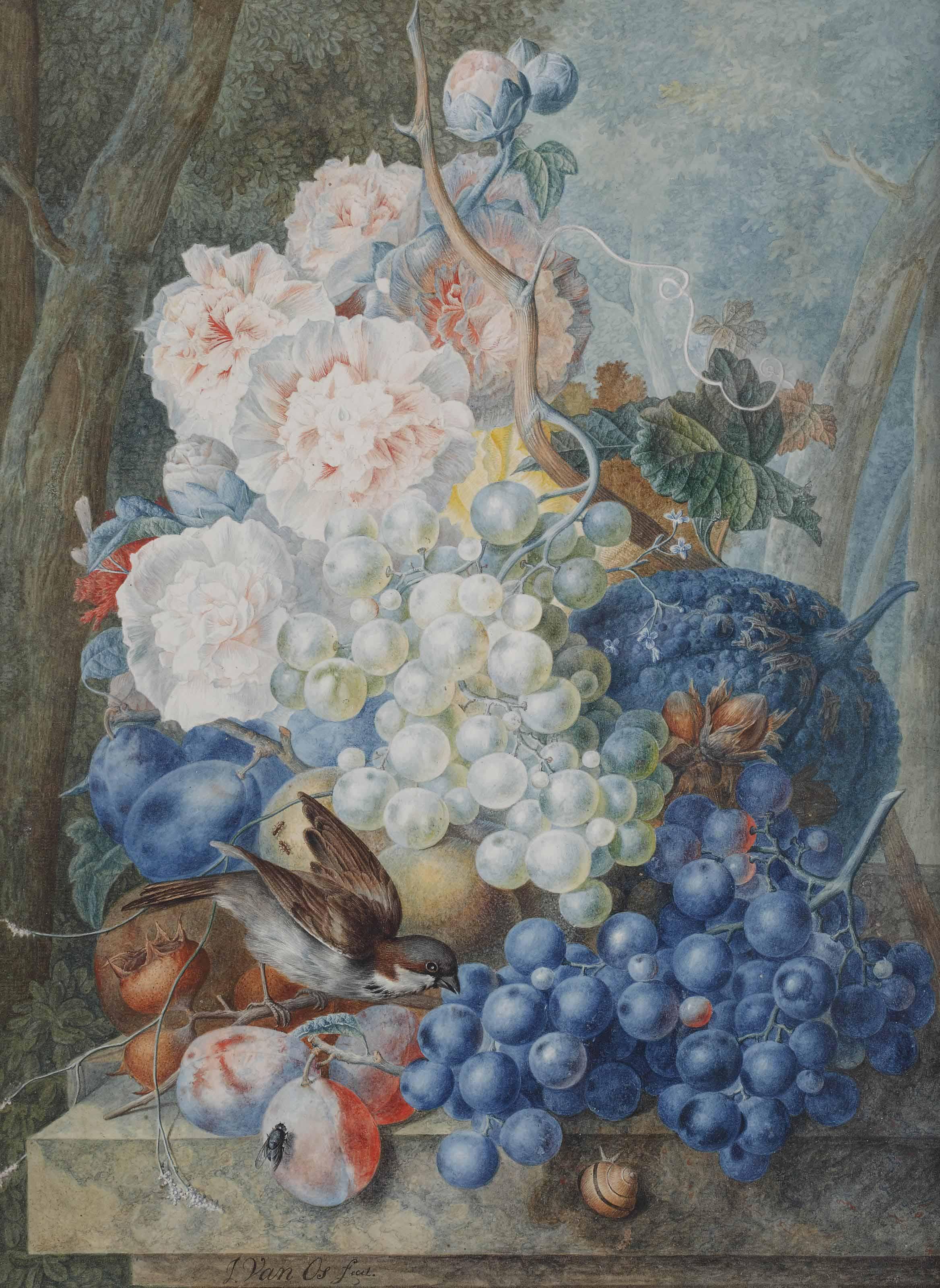 Jan Van Os - A bouquet of peonies with grapes, prunes, and a sparrow in a garden landscape