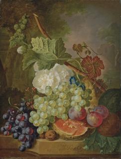 Jan van Os - Flowers, grapes, plums, walnuts and a melon on a stone ledge