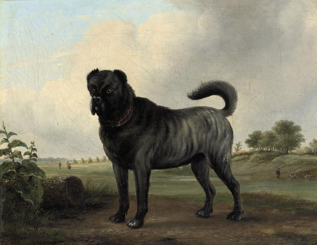 Jan van Ravenswaay - A Mastino Napolitano