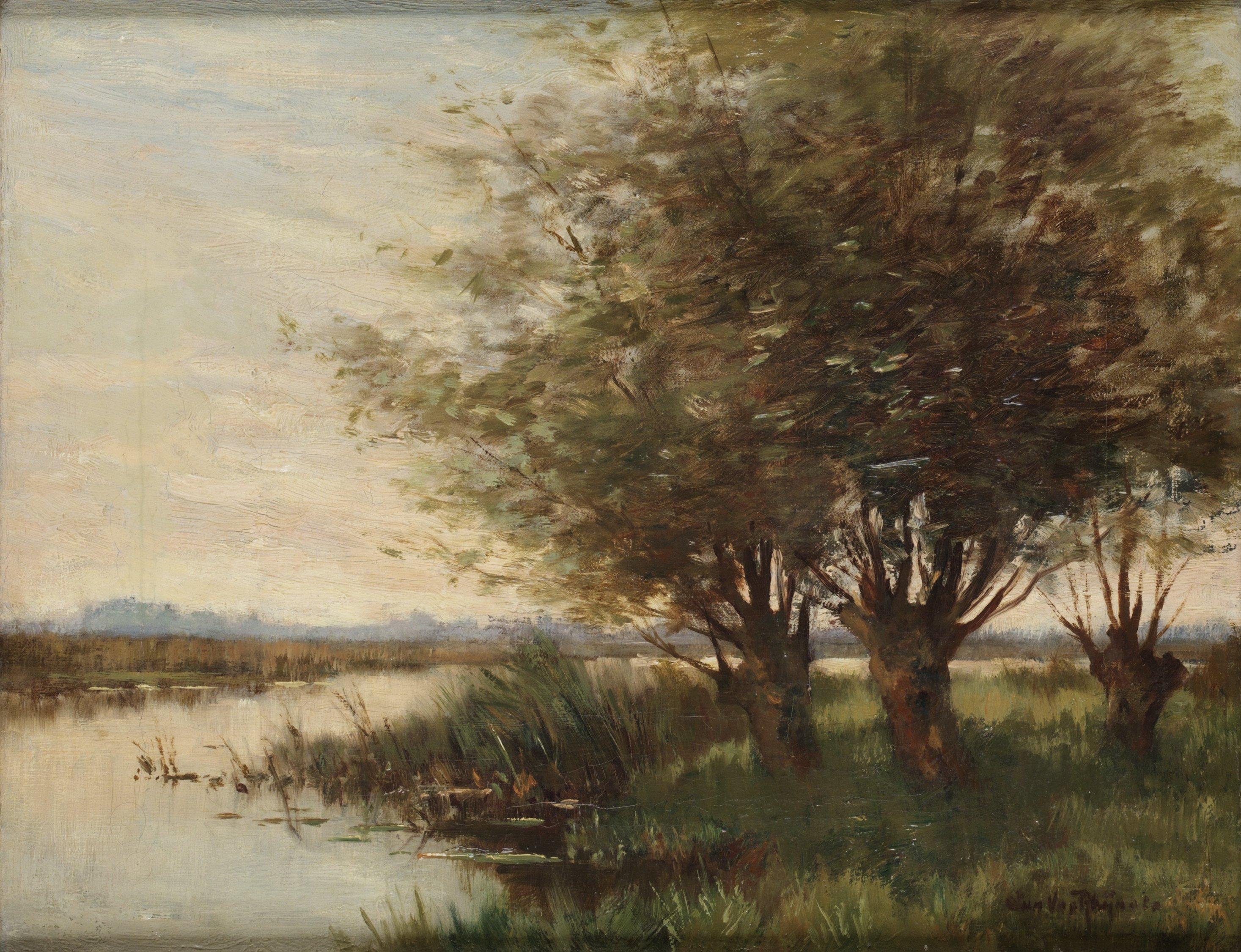 Jan van Rhijnnen - Flodlandskap