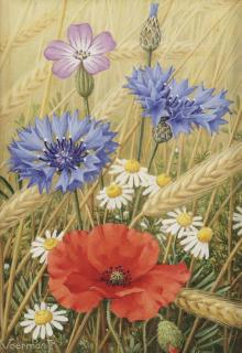 Jan Voerman Jr. - Cornflowers and poppies in a field