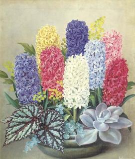 Jan Voerman Jun. - A still life with hyacinths