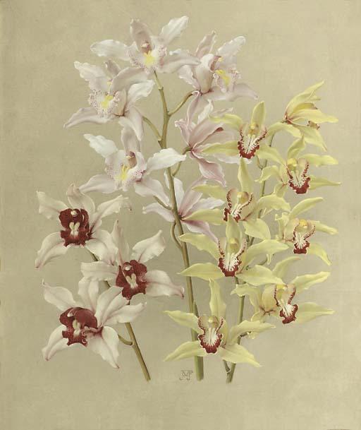 Jan Voerman Jun. - Orchids