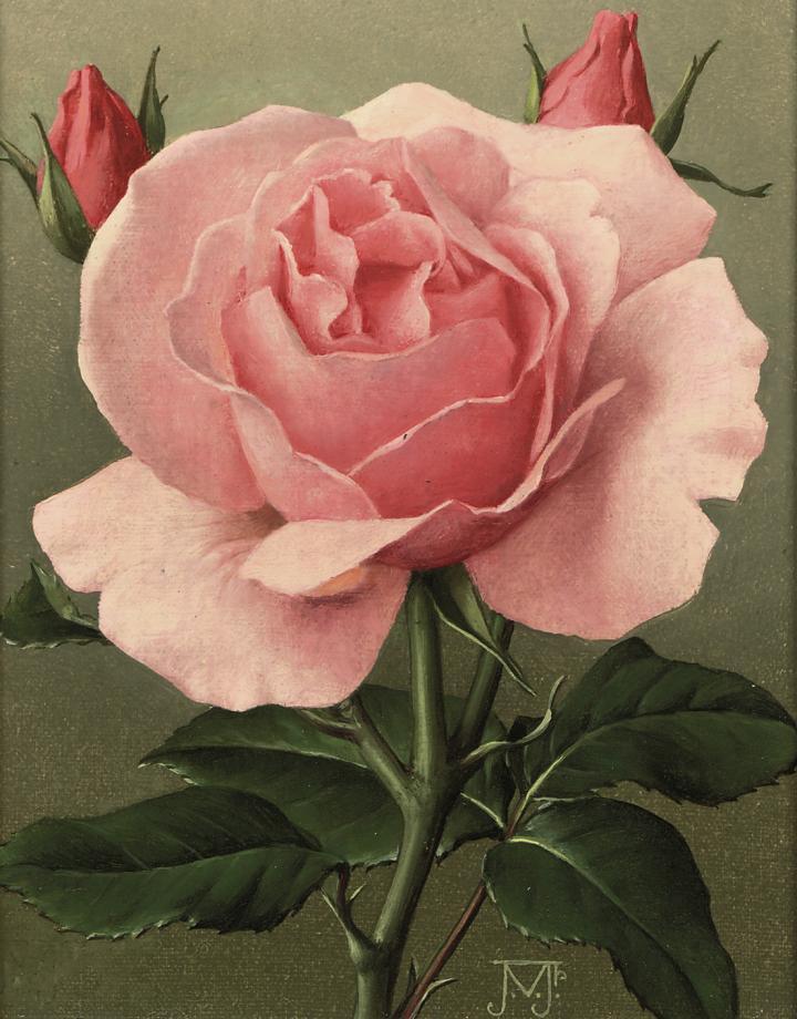 Jan Voerman Jun. - Pink Rose