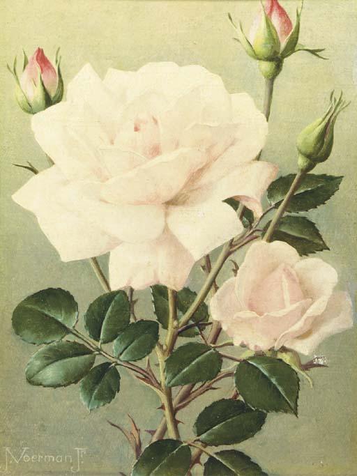 Jan Voerman Jun. - Pink Roses