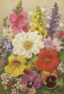 Jan Voerman Jun. - Precious flowers