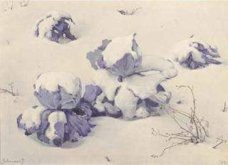 Jan Voerman Jun. - Red cabbages in the snow