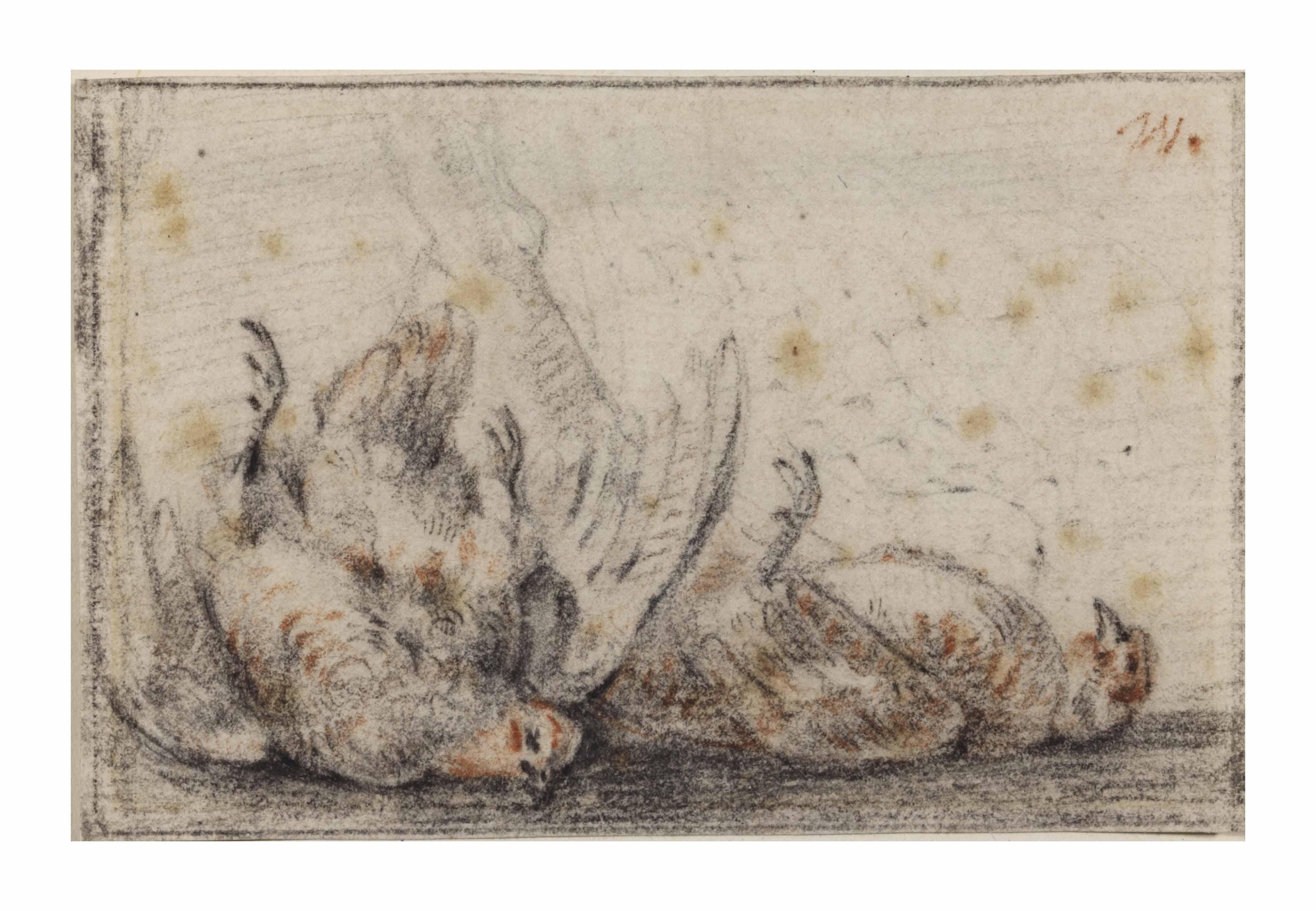 Jan Weenix - Studies of dead partridges (pl. 15)