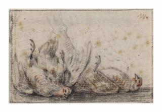 Jan Weenix - Studies of dead partridges (pl. 15)