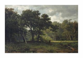 Jan Willem Van Borselen - Pheasant hunting