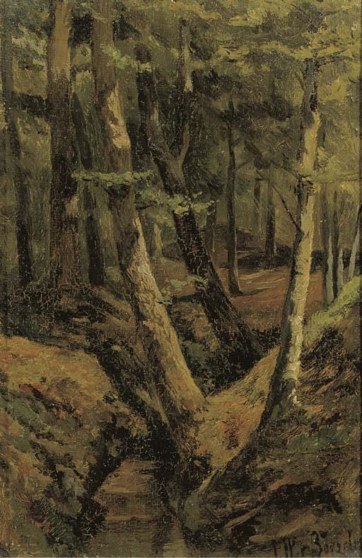 Jan Willem Van Borselen - The forest stream