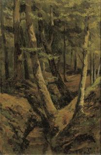 Jan Willem Van Borselen - The forest stream