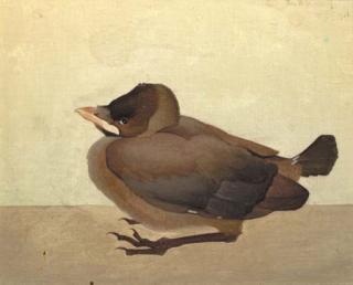 Jan Wittenberg - A bird