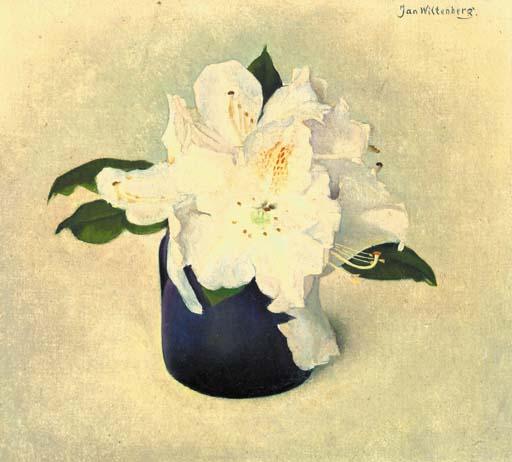 Jan Wittenberg - A still life with white rhodondendrons in a small blue vase
