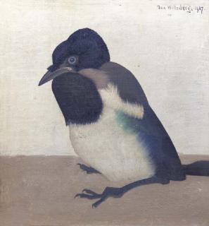 Jan Wittenberg - A young magpie