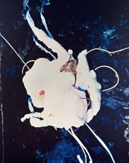 Janaina Tschäpe - Volva Volva.